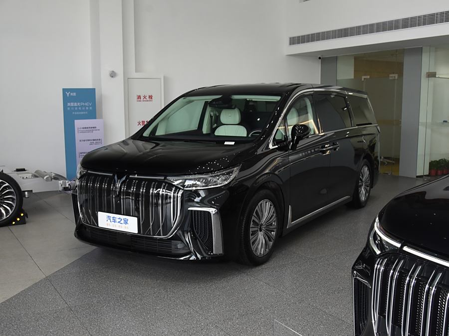 Фото 1 - Voyah Dream