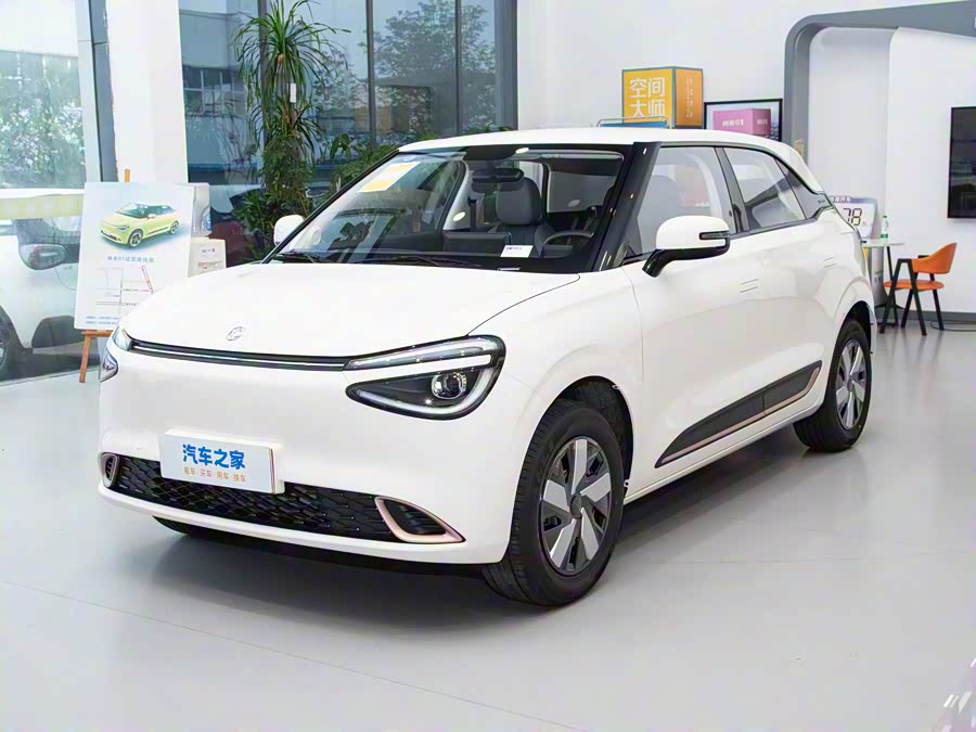 Фото 1 - Dongfeng Nammi 01