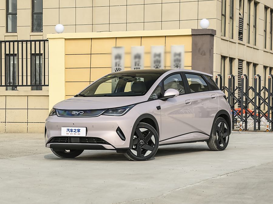 Фото 1 - BYD Dolphin