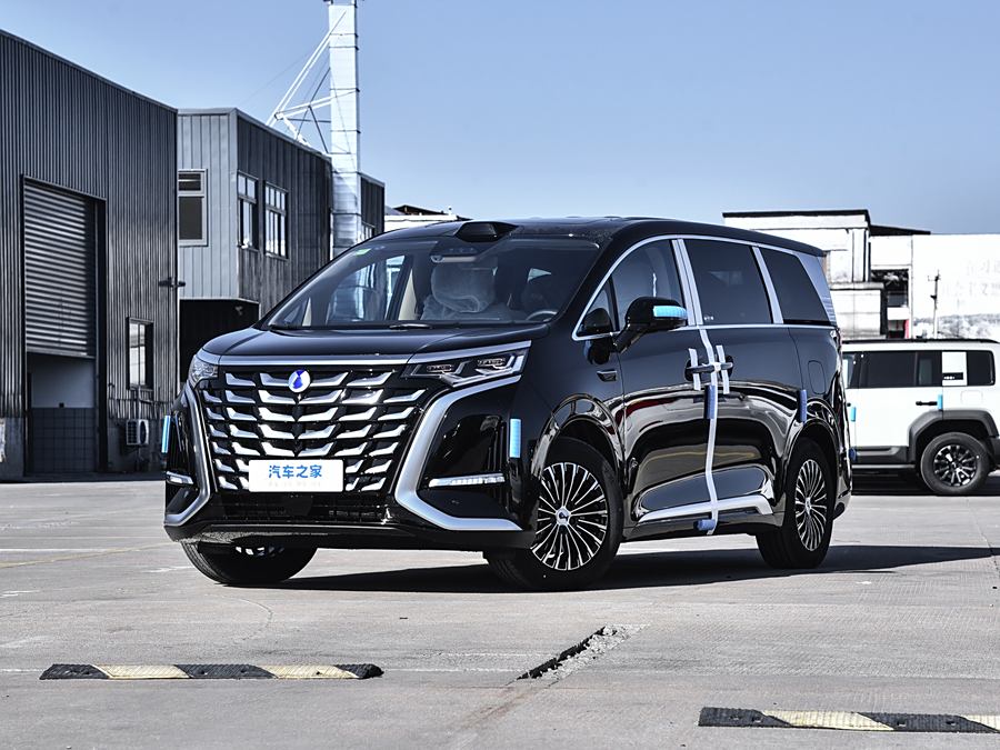 Фото 1 - Denza D9