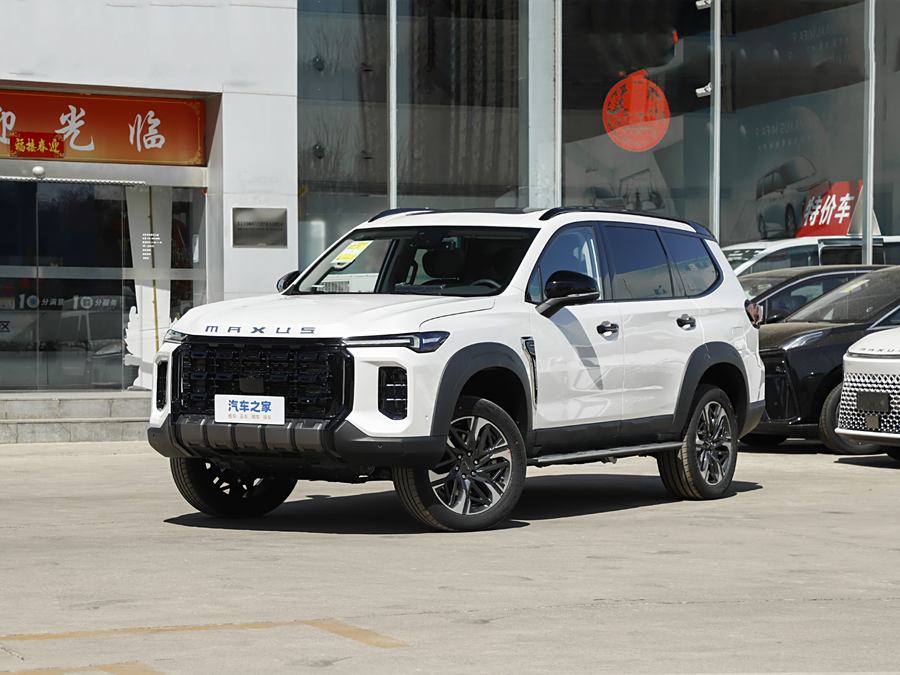 Фото 1 - Maxus Territory