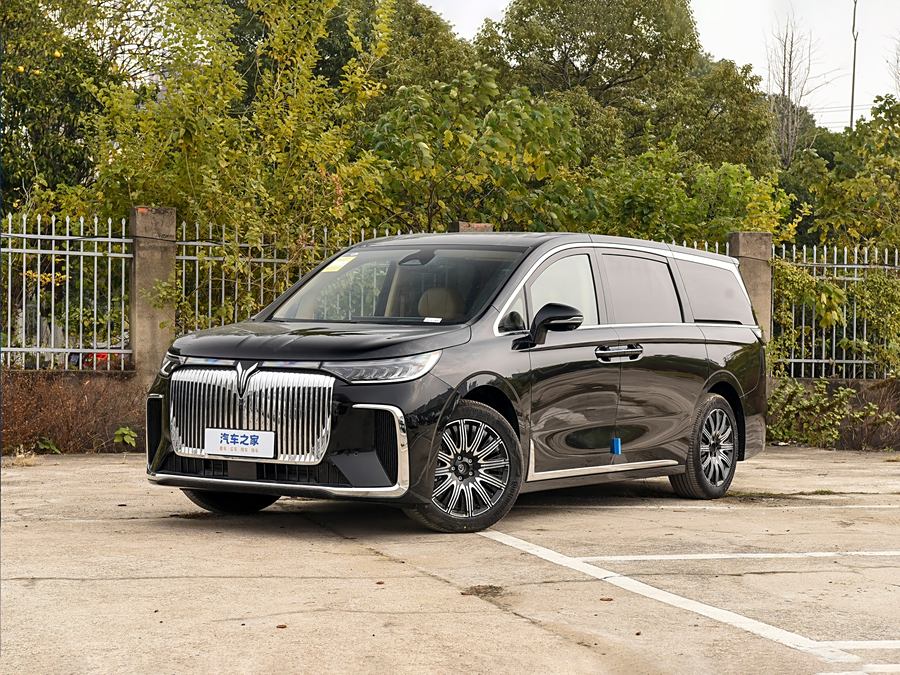 Фото 1 - Voyah Dream