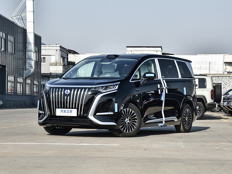 Фото 1 - Denza D9