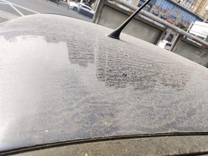 Фото 27 - Bestune Pony