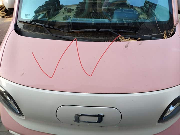 Фото 22 - Bestune Pony