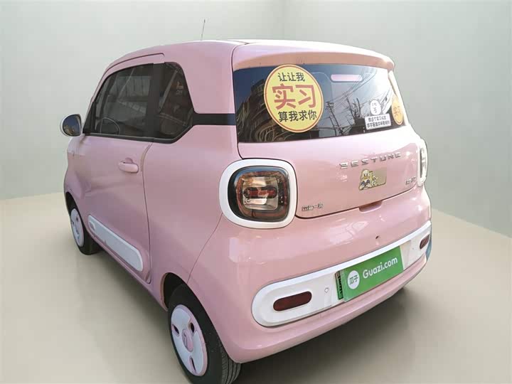 Фото 5 - Bestune Pony