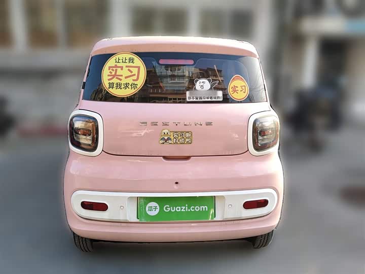 Фото 6 - Bestune Pony