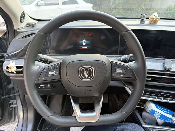 Фото 11 - Changan Eado Plus