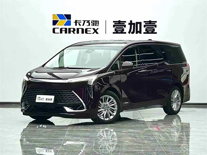 Фото 1 - Buick GL8 Century