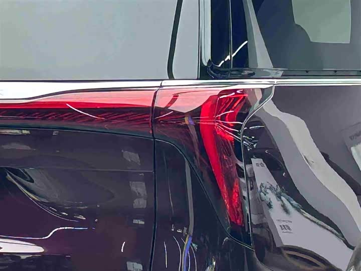 Фото 19 - Buick GL8 Century