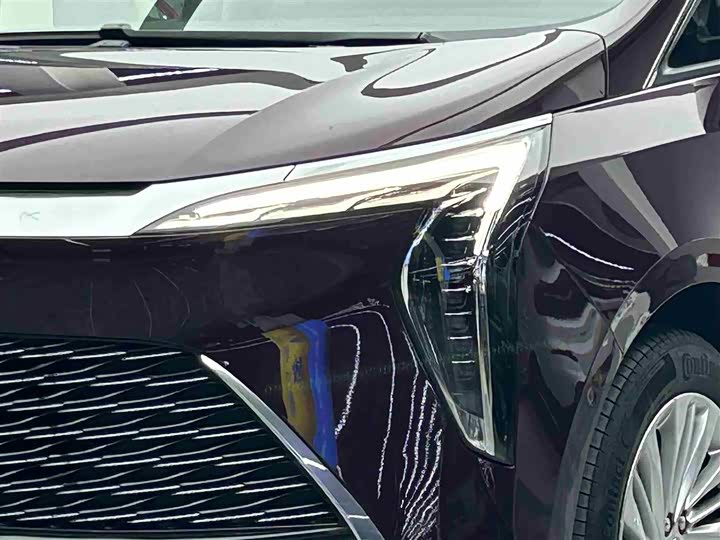 Фото 3 - Buick GL8 Century