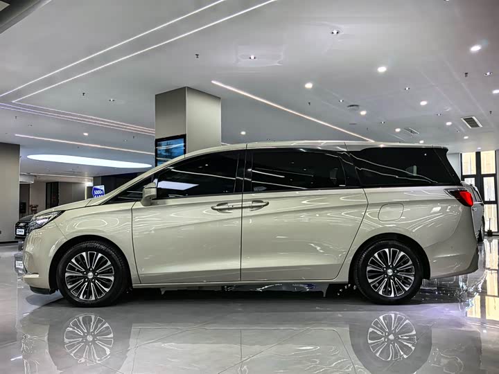 Фото 2 - Buick GL8 ES