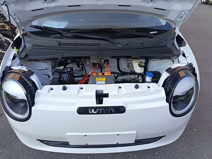 Фото 20 - Changan Qiyuan (Nevo) Lumin