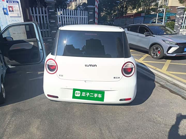 Фото 6 - Changan Qiyuan (Nevo) Lumin