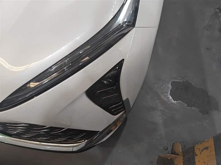 Фото 24 - Buick GL8 Hybrid