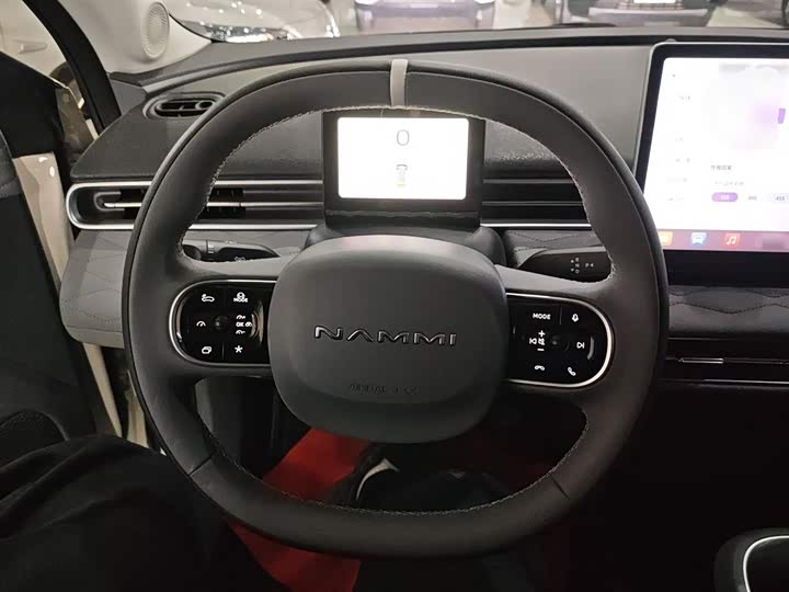 Фото 11 - Dongfeng Nammi 01