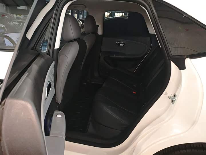 Фото 17 - Dongfeng Nammi 01