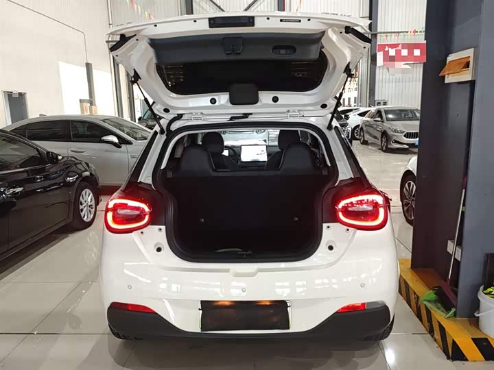 Фото 19 - Dongfeng Nammi 01