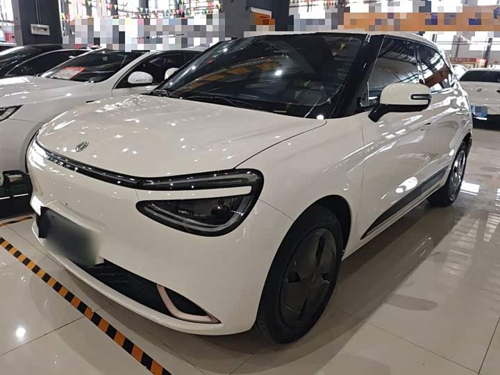 Фото 2 - Dongfeng Nammi 01