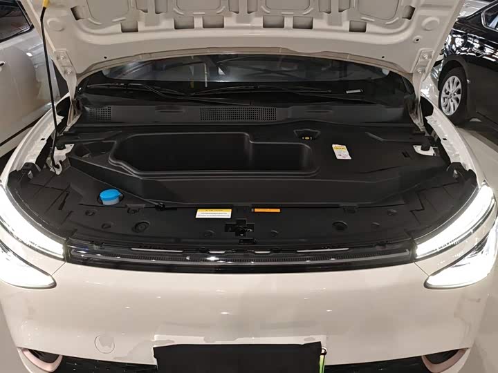 Фото 20 - Dongfeng Nammi 01