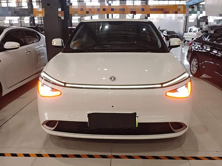 Фото 3 - Dongfeng Nammi 01