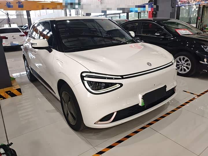 Фото 4 - Dongfeng Nammi 01