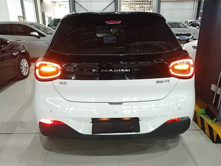 Фото 6 - Dongfeng Nammi 01