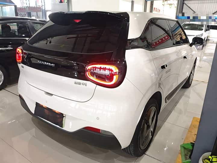 Фото 7 - Dongfeng Nammi 01