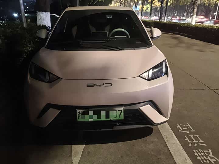 Фото 1 - BYD Seagull