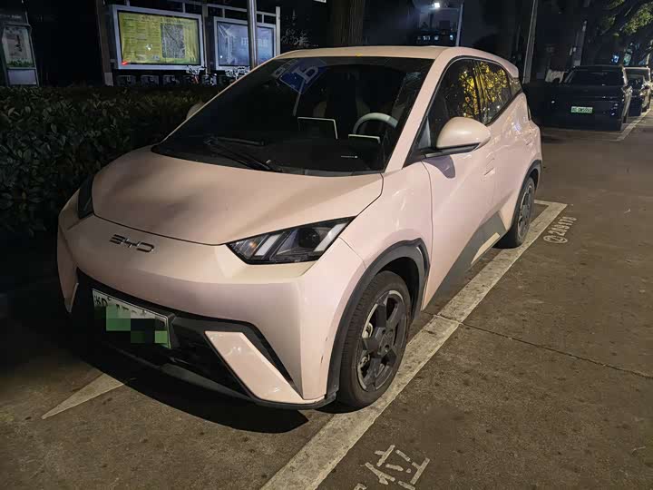 Фото 2 - BYD Seagull