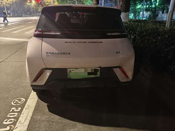 Фото 3 - BYD Seagull