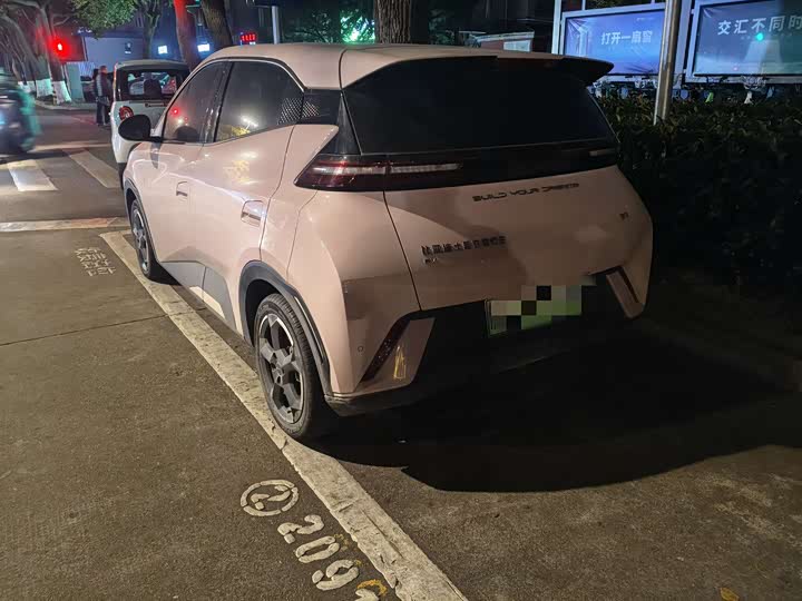 Фото 4 - BYD Seagull