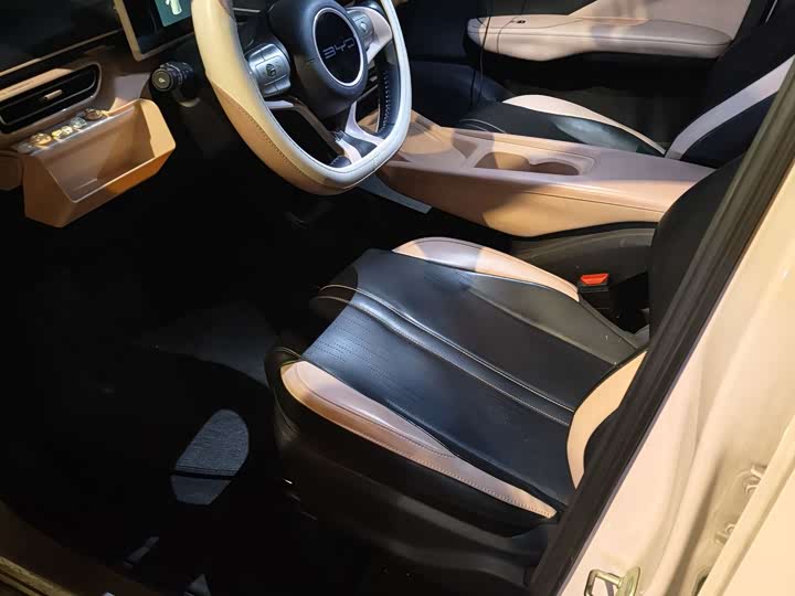 Фото 5 - BYD Seagull