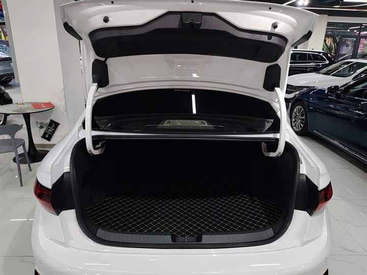 Фото 19 - Volkswagen Sagitar L