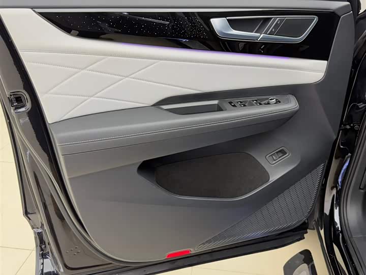 Фото 13 - Volkswagen Teramont Pro