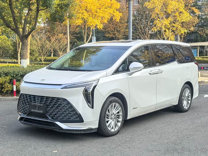 Фото 1 - Buick GL8 Century