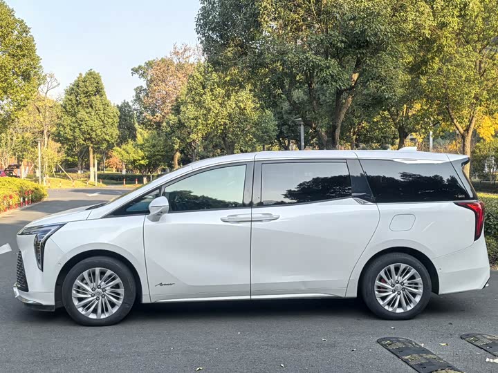 Фото 4 - Buick GL8 Century