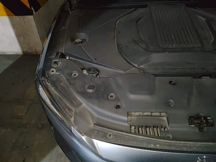 Фото 21 - BYD Qin Plus