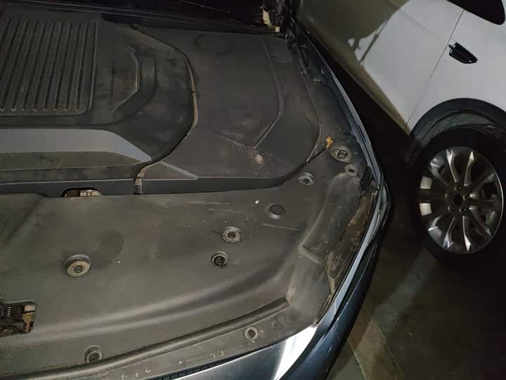 Фото 22 - BYD Qin Plus