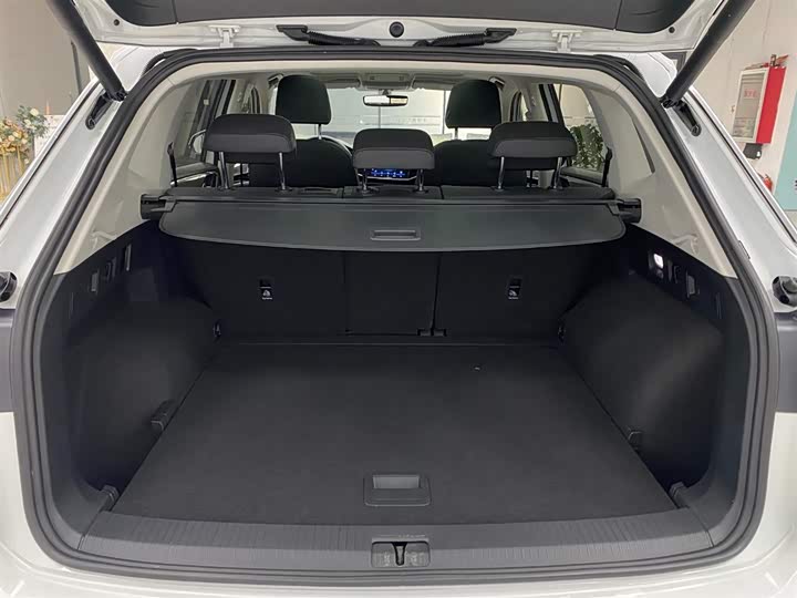 Фото 14 - Volkswagen Tayron