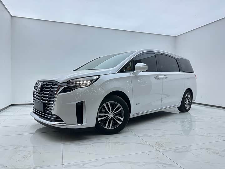 Фото 1 - Buick GL8 ES