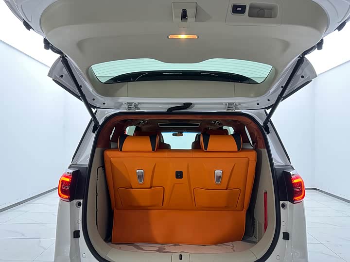 Фото 6 - Buick GL8 ES