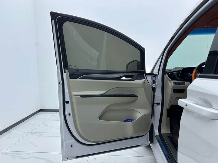 Фото 8 - Buick GL8 ES