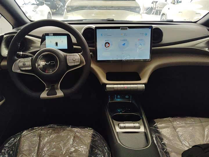 Фото 10 - BYD Dolphin