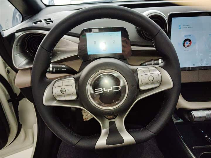 Фото 11 - BYD Dolphin