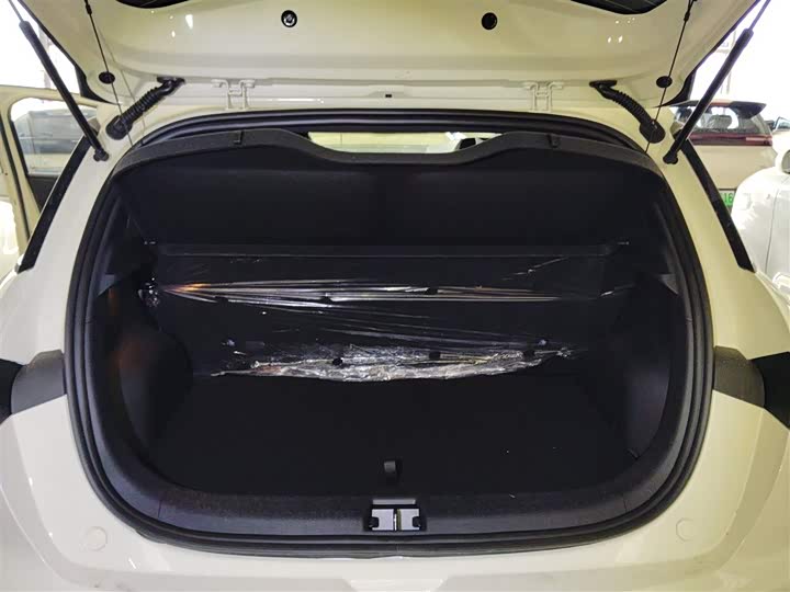 Фото 19 - BYD Dolphin