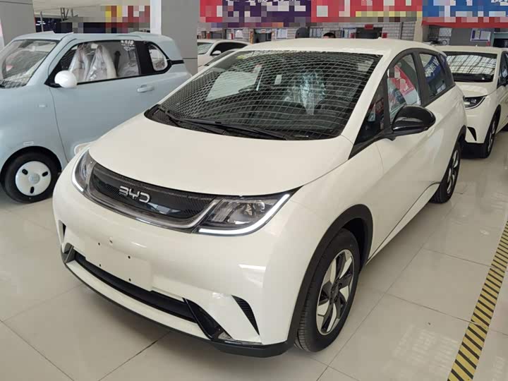 Фото 2 - BYD Dolphin