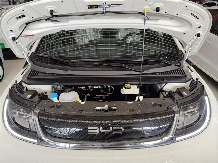 Фото 20 - BYD Dolphin