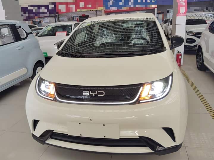 Фото 3 - BYD Dolphin