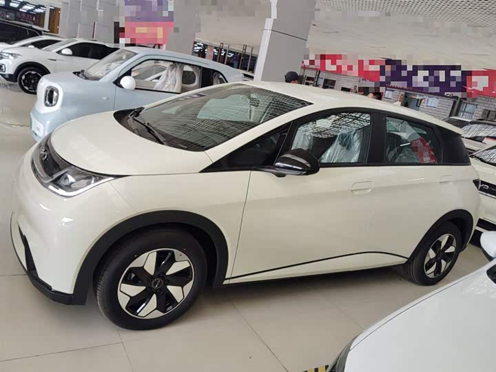 Фото 5 - BYD Dolphin